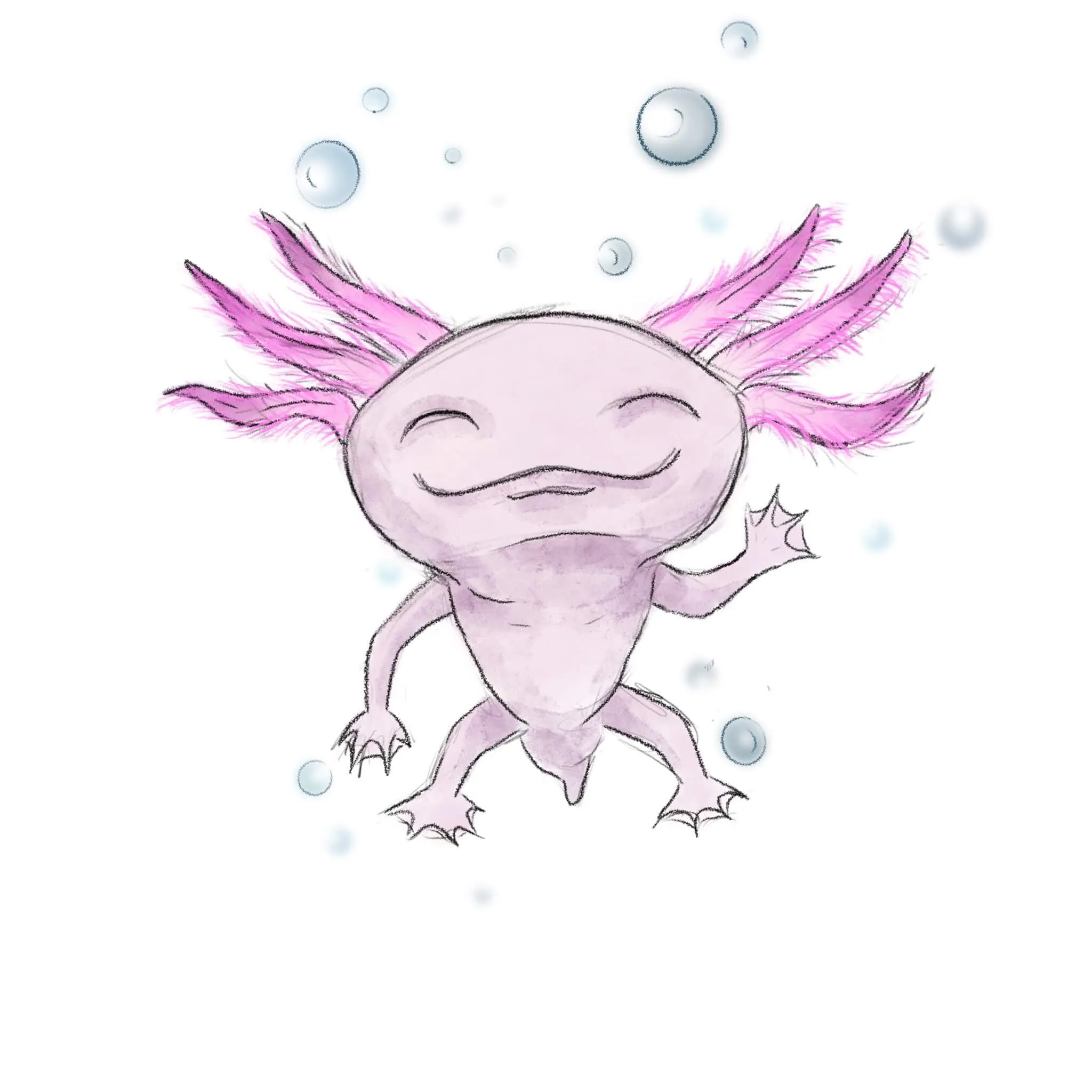 Axolotl