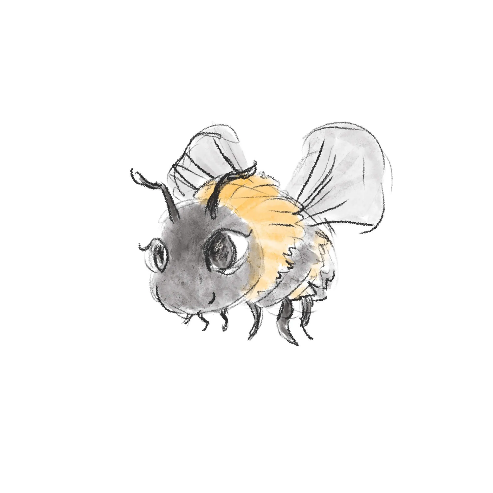 Buzz
