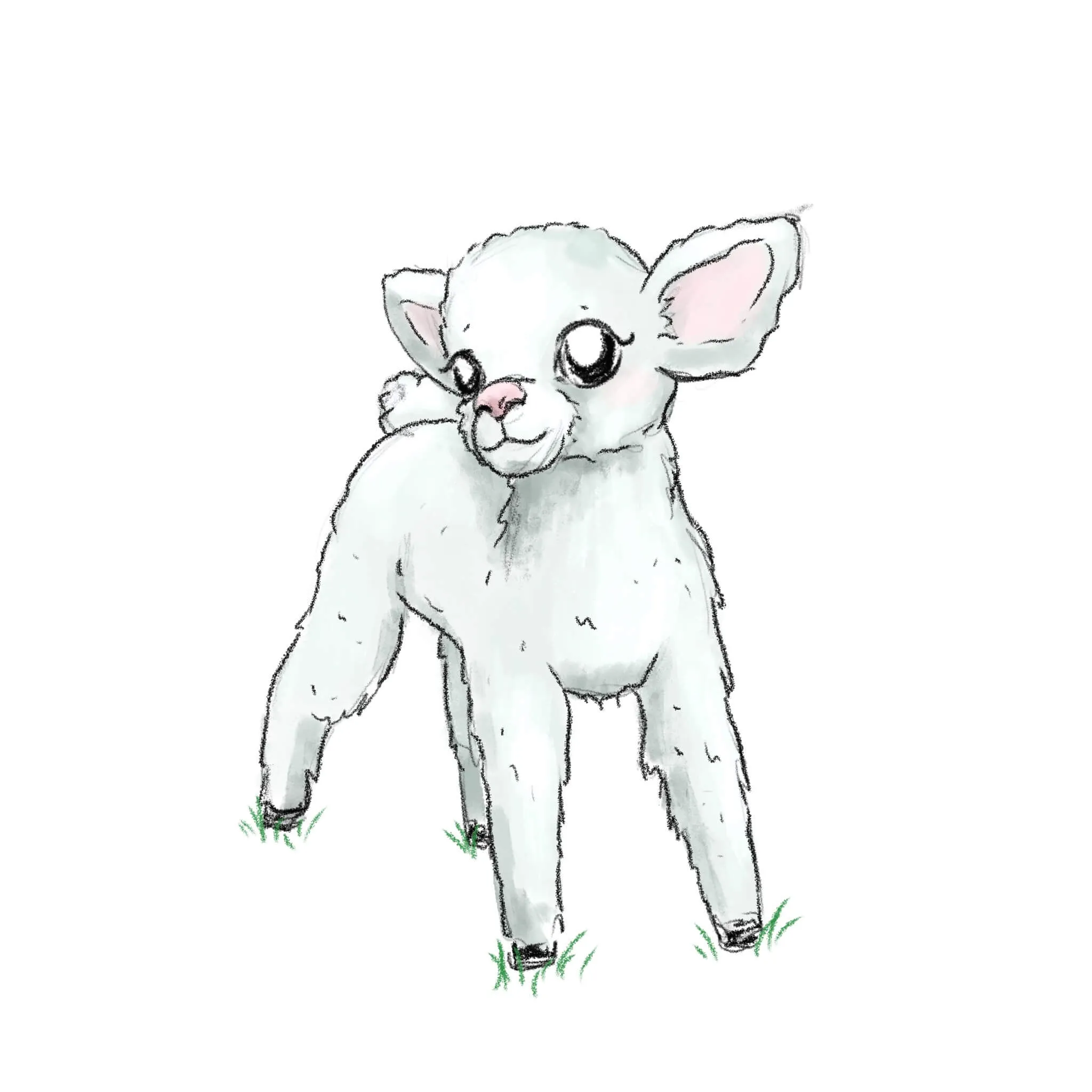 Lambi