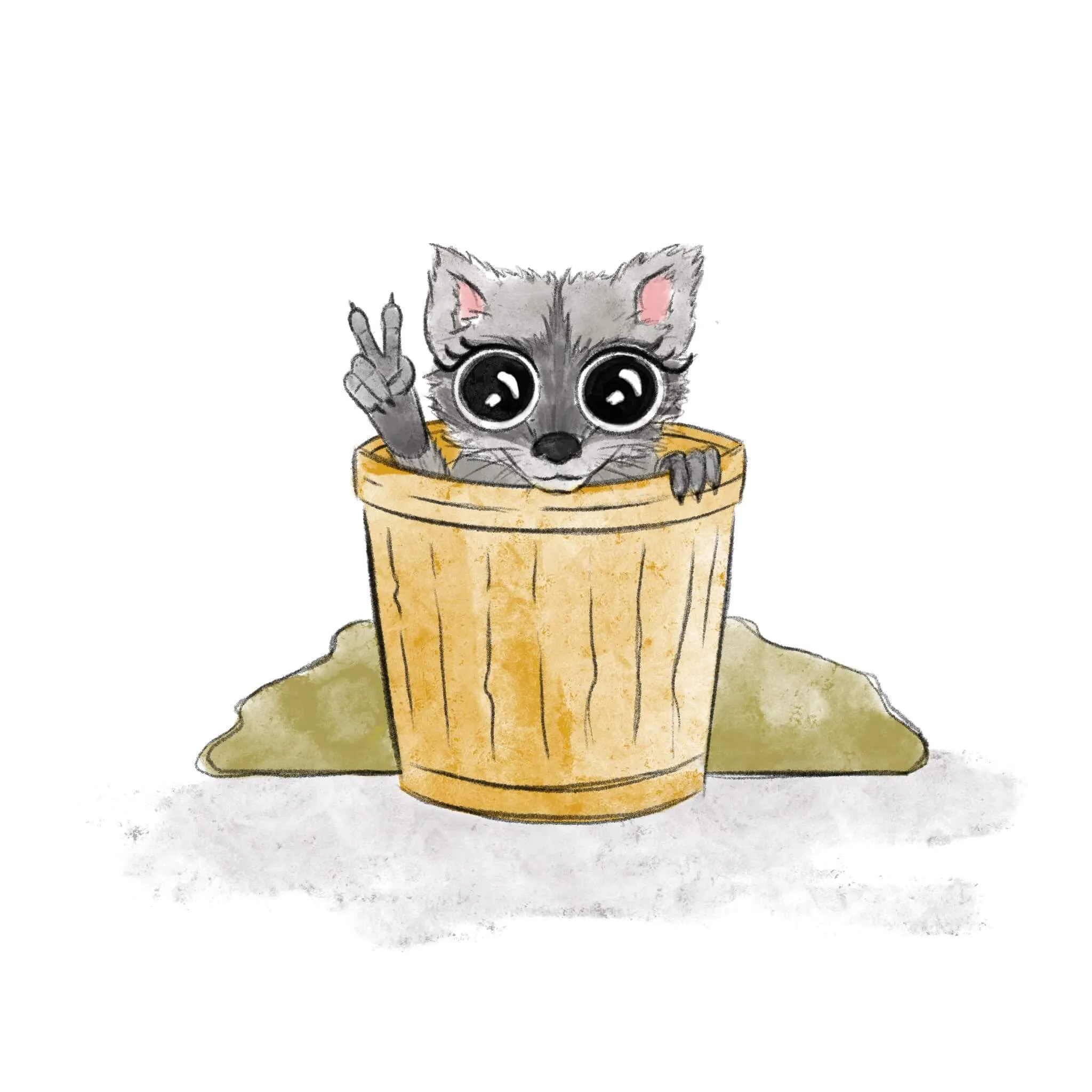 Raccoon
