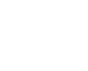 Character Animator, Photoshop, Illustrator, Adobe XD, After Effects, Animate